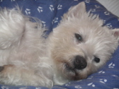 Avatar de MARTINOUCHE