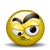 smiley sg3agbizarreg3ag.gif